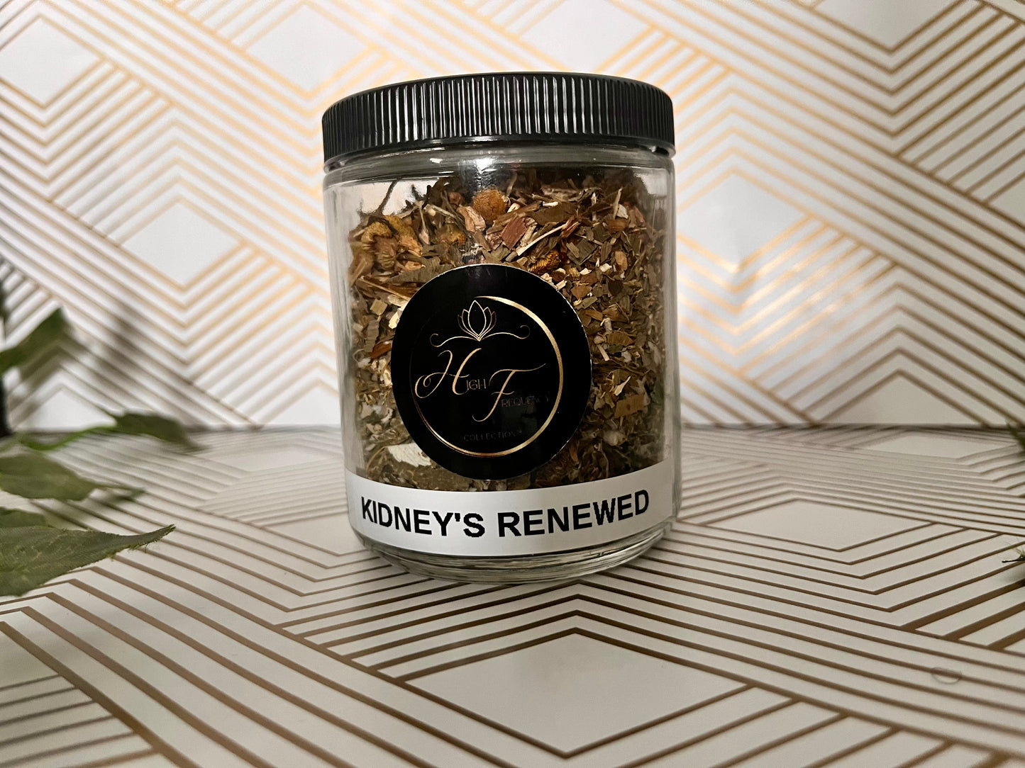 Kidney's Renewed