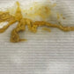 Parasites Out